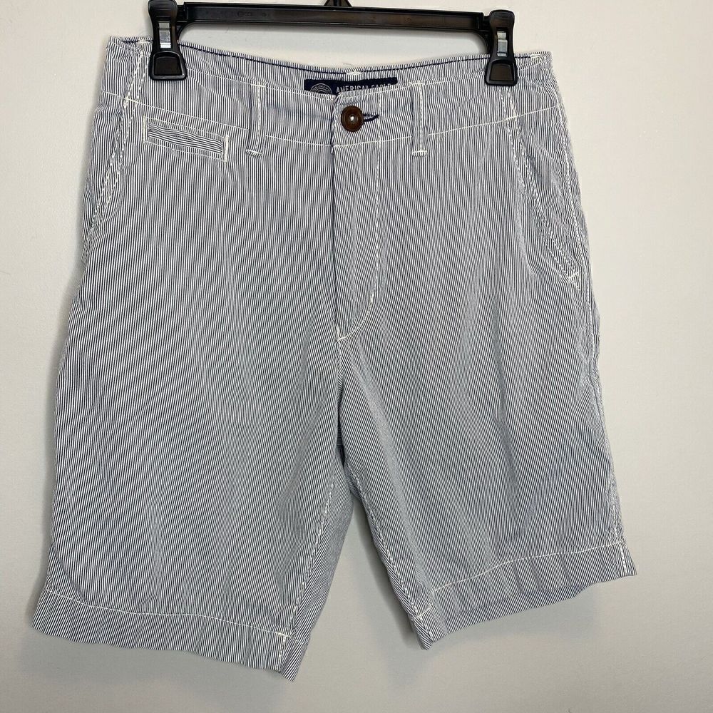 AMERICAN EAGLE AEO Shorts Mens 28 x 9 Classic Blue Pin-Stripe 100% Cotton
